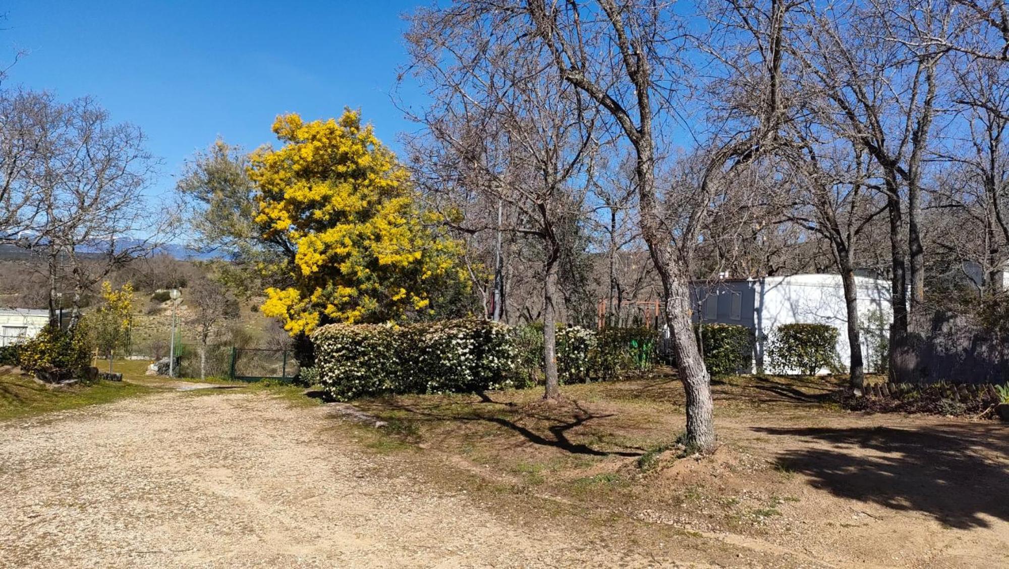Camping De Cervera De Buitrago Ngoại thất bức ảnh
